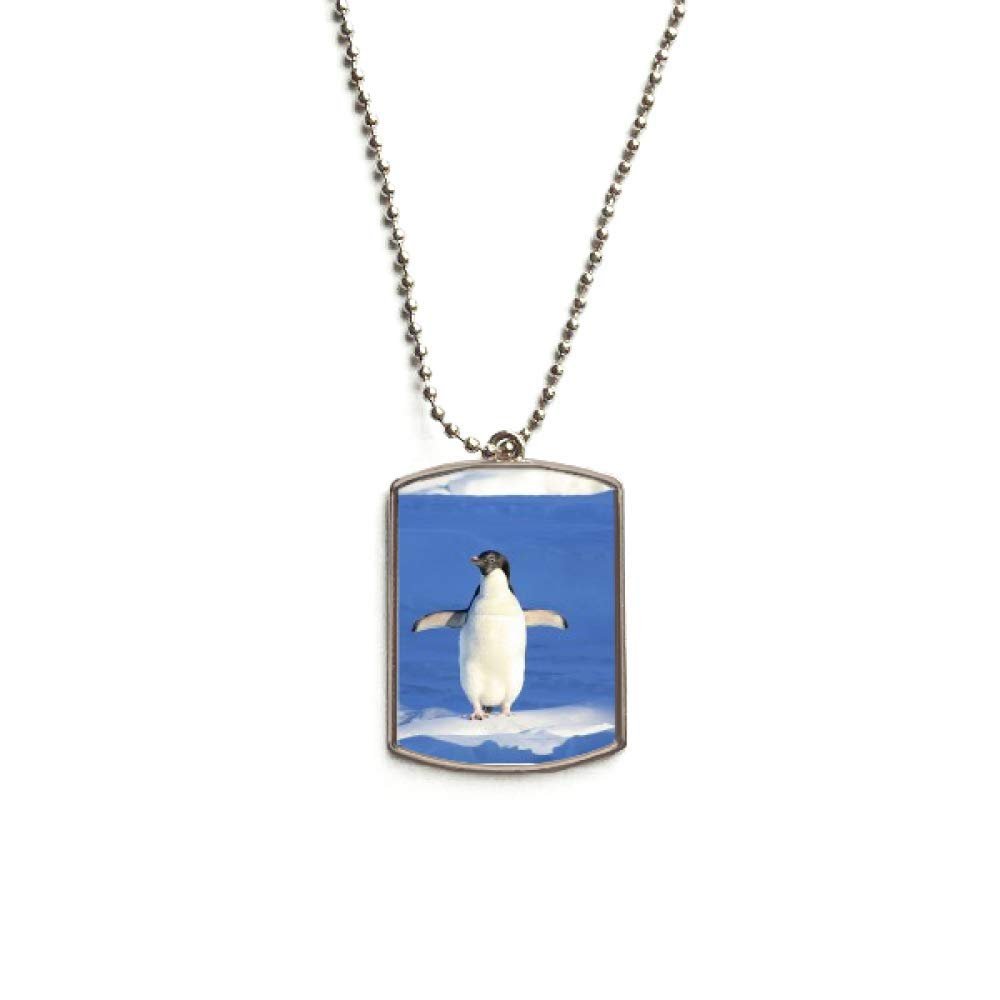 DIYthinker Cute White Penguin Science Nature Picture Stainless Steel Chain Dog Tag Pendant Pet Necklace