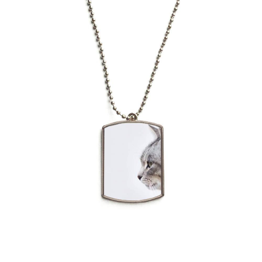 DIYthinker Animal Yawn Cat Simpol Shoot Stainless Steel Chain Dog Tag Pendant Pet Necklace