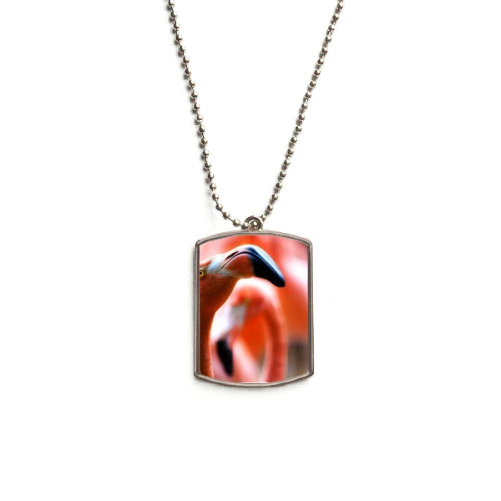 DIYthinker Terrestrial Organism Flamingo Wild Animal Stainless Steel Chain Dog Tag Pendant Pet Necklace