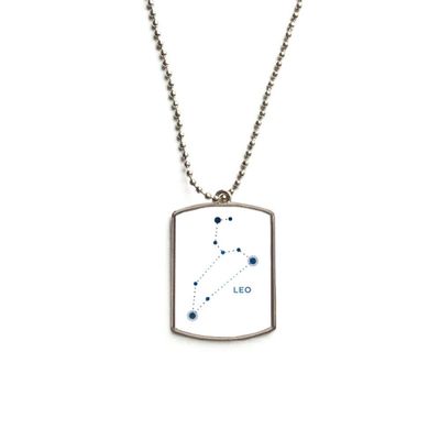 DIYthinker Leo Constellation Sign Zodiac Stainless Steel Chain Dog Tag Pendant Pet Necklace