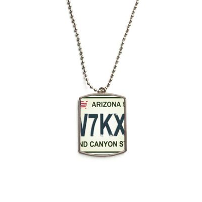 DIYthinker American Car Licence Number Pattern Stainless Steel Chain Dog Tag Pendant Pet Necklace