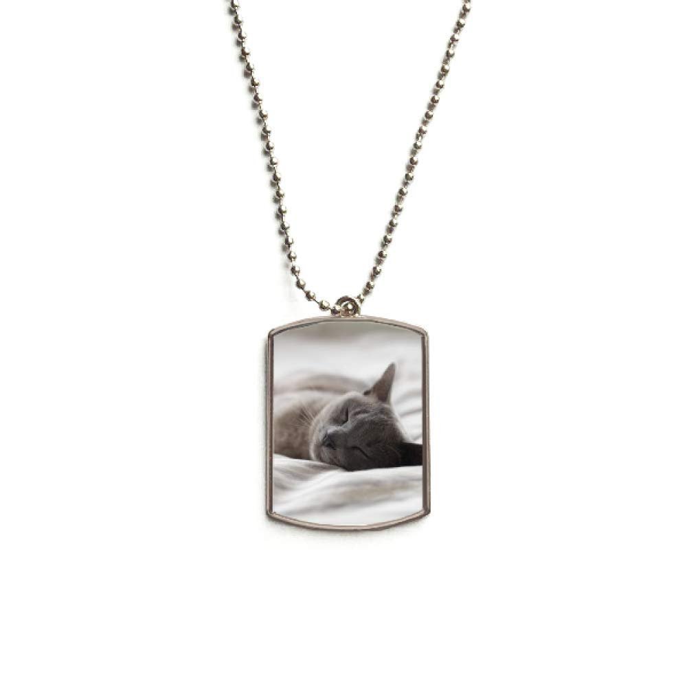 DIYthinker Animal Cute Gray Cat Photograph Shoot Stainless Steel Chain Dog Tag Pendant Pet Necklace