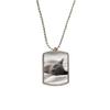 DIYthinker Animal Cute Gray Cat Photograph Shoot Stainless Steel Chain Dog Tag Pendant Pet Necklace view 1