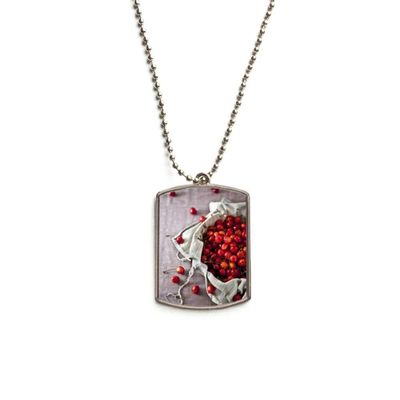 DIYthinker Temperate Red Fruits Cherry Photograph Stainless Steel Chain Dog Tag Pendant Pet Necklace