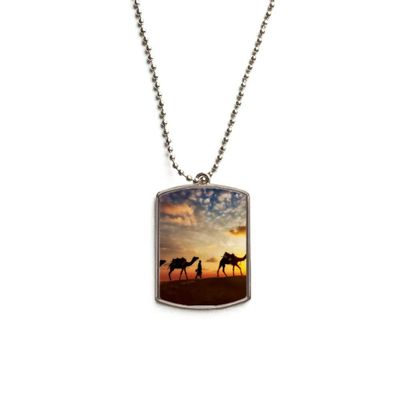 All The Way to The Silk Road Camel Desert Stainless Steel Chain Dog Tag Pendant Pet Necklace