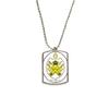 DIYthinker Malaysia Asia National Emblem Stainless Steel Chain Dog Tag Pendant Pet Necklace view 1