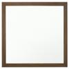 Acme Miquell Contemporary Wood Frame Bedroom Square Mirror in Oak view 1