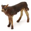 Holyart Black Dog, 18 cm Nativity Angela Tripi view 2