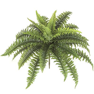 Windowbox Artificial Boston Fern 18 inch - Indoor Rated