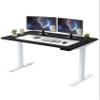 Rise UP Dual Motor Electric Standing Desk 60x30 Black Desktop Premium Ergonomic Adjustable Height sit Stand up Home Office Computer Desk Table Motorized Powered Modern Furniture Small Standup Table view 1