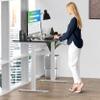 Rise UP Dual Motor Electric Standing Desk 60x30 Black Desktop Premium Ergonomic Adjustable Height sit Stand up Home Office Computer Desk Table Motorized Powered Modern Furniture Small Standup Table view 2