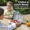 Bentgo Chill Kids Leak-Proof Lunch Box - 4-Compartment Bento Box with Built-In Ice Pack, 3.3 Cup Capacity, PFAS & BPA-Free, Microwave & Dishwasher Safe, Ideal Size for Ages 3 to 7 (Gray) view 4