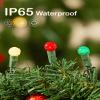 BOHON Christmas Lights 2 Pack 24FT 70 LED G15 Red White and Green Globe Christmas String Lights Plug in with Pearlized Bulbs Green Wire for Outdoor Indoor Patio Xmas Tree Garland Decor view 2