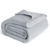 Bedsure GentleSoft Fleece Blankets Queen Size Light Grey - Bed Blanket Soft Lightweight Plush Fuzzy Cozy Luxury Microfiber, 90x90 inches view 1