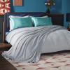 Bedsure GentleSoft Fleece Blankets Queen Size Light Grey - Bed Blanket Soft Lightweight Plush Fuzzy Cozy Luxury Microfiber, 90x90 inches view 2