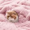 Bedsure GentleSoft Fluffy Pink Throw Blanket, Pink Decor Cozy Gifts for Teenage Girls, Soft Fuzzy Plush Thick Warm Furry Sherpa Fleece Faux Fur Throw Blanket for Couch, Cute Stuff for Women, 50x60 view 4
