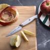Cangshan Thomas Keller Signature Collection Swedish Powder Steel Forged, 3.5" Paring Knife, White view 4