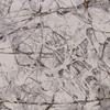 HomeRoots 3' X 5' Ivory Or Grey Abstract Area Rug view 1