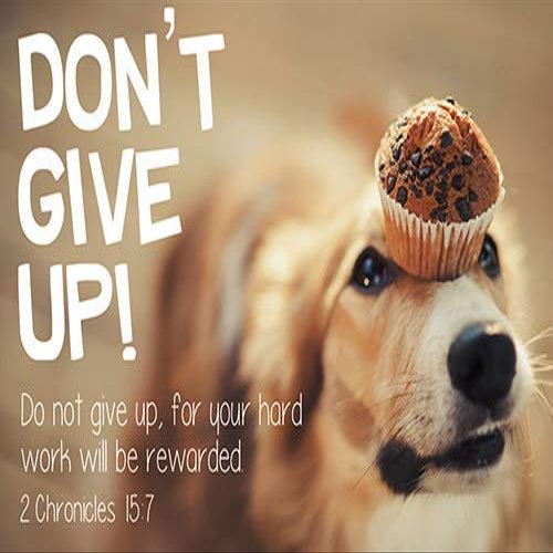 Faithworks Don't Give up, for Your Hard Work Will be Rewarded