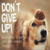 Faithworks Don't Give up, for Your Hard Work Will be Rewarded view 1