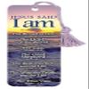 Faithworks VerseMark Jesus Said I Am view 1
