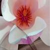 artgeist Textured Canvas Wall Art Flowers Orchid 80x40 in - 5pcs Painting Canvas Prints Picture Artwork Living Room Framed Contemporary Modern Photo Wall Home Floral Nature Botanical b-C-0113-b-o view 4