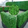 2/6/12 Plant Artificial Mat Greenery Wall Hedge Grass Fence Foliage Panel Decor (1 Pcs) view 4