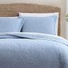 Tommy Bahama - Twin Quilt Set, Soft Cotton Bedding with Matching Sham, Oeko-Tex Certified, Dorm Essentials (Coasta Sera Blue) view 2