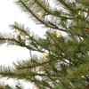 Nearly Natural 4ft. Vancouver Mountain Pine Artificial Christmas Tree with 100 Clear Lights and 374 Bendable Branches view 3