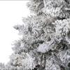 Nearly Natural 7ft. Flocked White River Mountain Pine Artificial Christmas Tree with Pinecones view 3