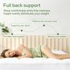 Ultra Soft Queen RV Size Mattress Topper - Viscose Made from Bamboo Pillow Top Mattress Pad for Back Pain Relief - Naturally Cooling for Hot Sleepers, Green view 4