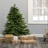 Perfect Holiday 5' Nobel Fir Christmas Tree | 565 Tips, Dia 31" | Includes Metal Stand, Green (PEM1921-5) view 2