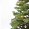 Perfect Holiday 5' Nobel Fir Christmas Tree | 565 Tips, Dia 31" | Includes Metal Stand, Green (PEM1921-5) view 3
