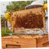 Cabilock Beekeeping Frame Lift Support Beehive Frame Holder Bee Nest Holder Bee Supplies Tool view 4
