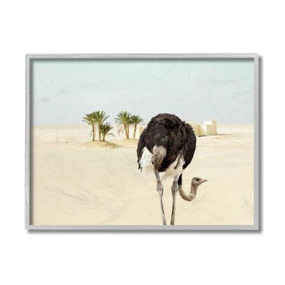 Ostrich in Desert Muted Sand Landscape