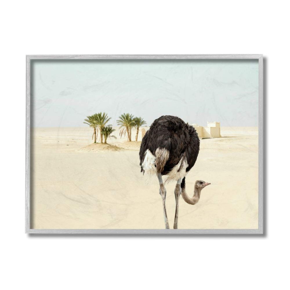 Ostrich in Desert Muted Sand Landscape