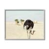 Ostrich in Desert Muted Sand Landscape view 1