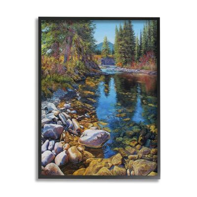 Creek Landscape with Stones Pine Tree Forest