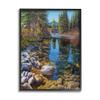 Creek Landscape with Stones Pine Tree Forest view 1