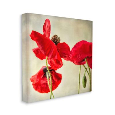 Stupell Industries Radiant Red Poppy Striking Floral Details
