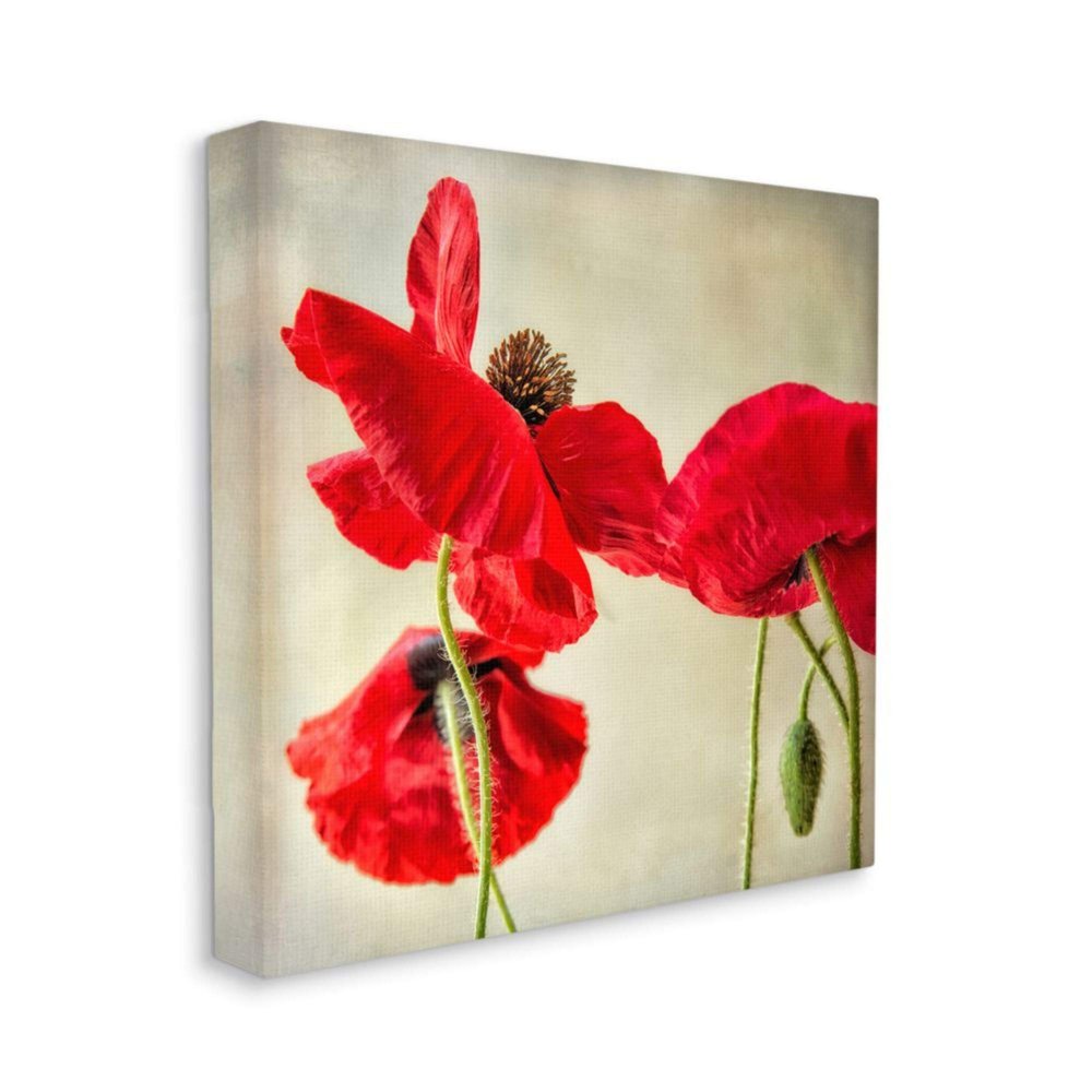 Stupell Industries Radiant Red Poppy Striking Floral Details