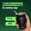 Kalmateh Yerba Mate Cup/Gourd 8.6oz, Stainless Steel Tea Cup, 3 Pcs Set Includes Bombilla Filter Straw & Cleaning Brush view 2