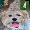 SOUFEEL Custom Dog Portrait Blanket Personalized Blankets & Throws with Photo, Custom Fathers Day Birthday Christmas New Year Gifts Blanket for Pet Mom Dad Men Women Couple view 4