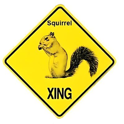 YFULL Squirrel Caution Yard Sign on a Stake Wildlife Metal Sign 30x30cm