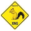 YFULL Squirrel Caution Yard Sign on a Stake Wildlife Metal Sign 30x30cm view 1