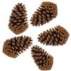 PineCones Tall Bulk Package All Natural,Real Preserved Pine Cones Big Pinecones and Perfect Natural Pine Cones for Christmas Hanging Ornaments Bowl Vase Fillers (3-4.3 in(12pcs)) view 1