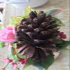 PineCones Tall Bulk Package All Natural,Real Preserved Pine Cones Big Pinecones and Perfect Natural Pine Cones for Christmas Hanging Ornaments Bowl Vase Fillers (3-4.3 in(12pcs)) view 3