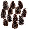 PineCones Tall Bulk Package All Natural,Real Preserved Pine Cones Big Pinecones and Perfect Natural Pine Cones for Christmas Hanging Ornaments Bowl Vase Fillers (3-4.3 in(12pcs)) view 4