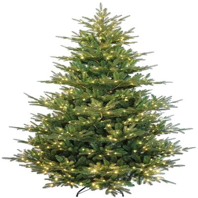 6 Foot Pre-lit Rocky Mountain Fir Artificial Christmas Tree with LED Lights (6ft Pre-lit)