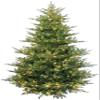 6 Foot Pre-lit Rocky Mountain Fir Artificial Christmas Tree with LED Lights (6ft Pre-lit) view 1